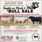 Simple as Black & White Bull Sale
