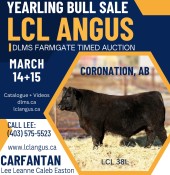 Yearling Bull Sale