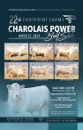 22nd Footprint Farms Charolais Power Bull Sale
