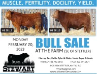 Bull Sale at the Farm
