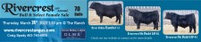 Rivercrest 19th Annual Bull & Select Female Sale 
