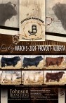 Johnson Ranching Simmental & Charolais 11th Annual Bull Sale