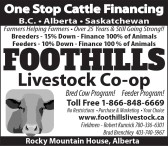 One Stop Cattle Financing